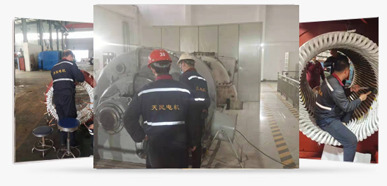 湖北天民電機有限公司